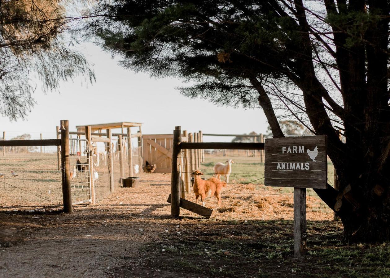 Eight Acres לייקס אינטרנס מראה חיצוני תמונה